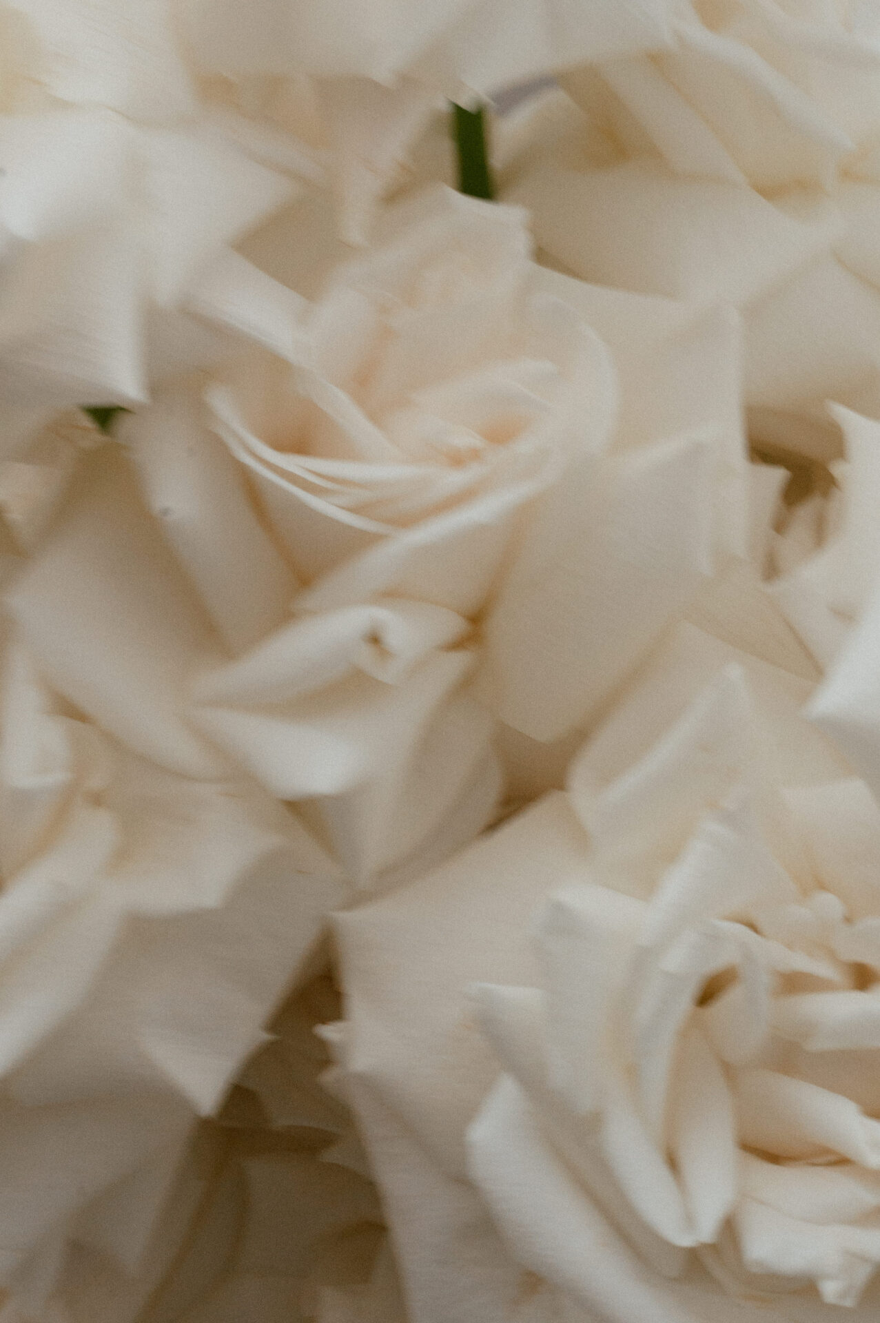 Puglia Wedding